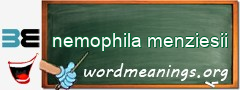 WordMeaning blackboard for nemophila menziesii